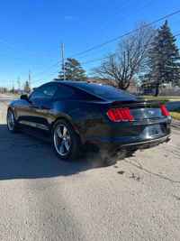 2015 Ford Mustang EcoBoost