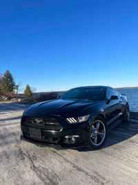 2015 Ford Mustang EcoBoost