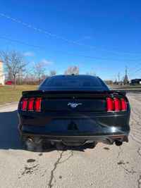 2015 Ford Mustang EcoBoost